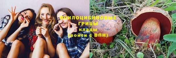 дурь Белокуриха