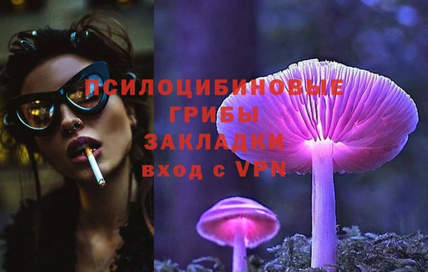 дурь Белокуриха