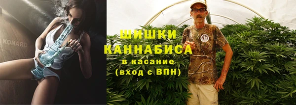 дурь Белокуриха