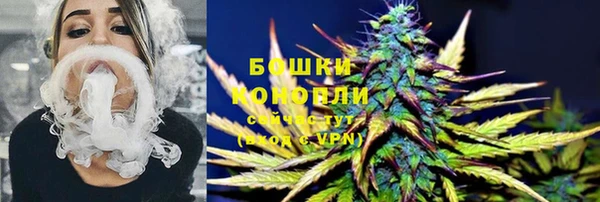 дурь Белокуриха
