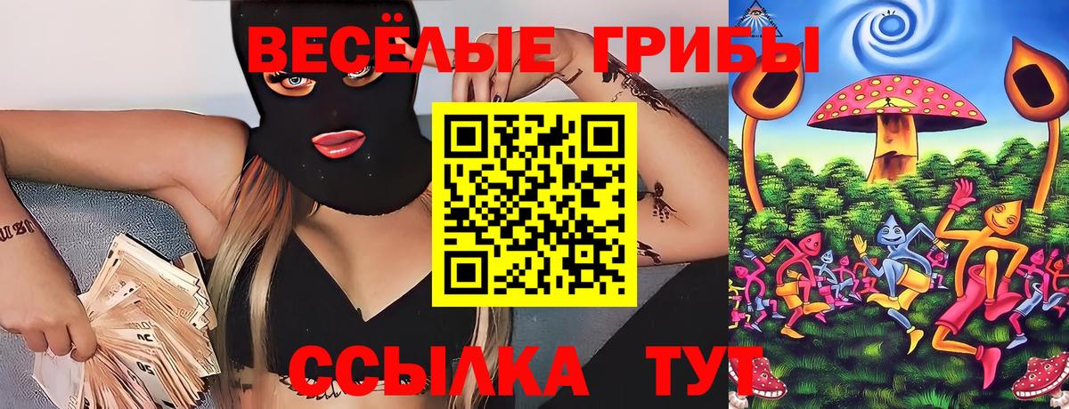 что такое   Вход с VPN  Галлюциногенные грибы MAGIC MUSHROOMS  Дагестанские Огни  Псилоцибиновые грибы Magic Shrooms 