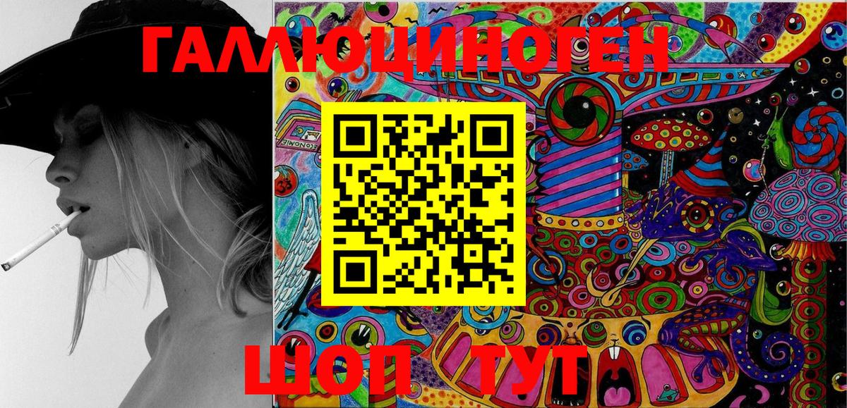 Галлюциногенные грибы Psilocybine cubensis  Дагестанские Огни  Галлюциногенные грибы Psilocybine cubensis 