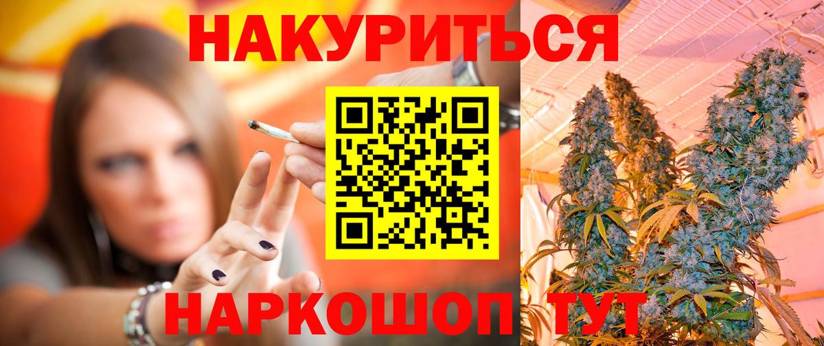 Конопля гибрид Дагестанские Огни