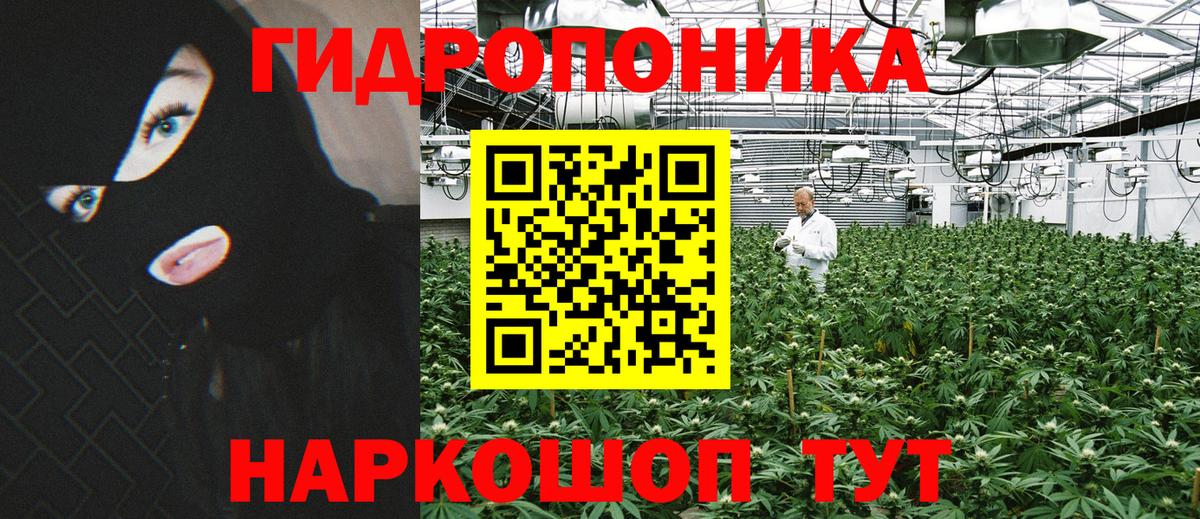Канабис план Дагестанские Огни
